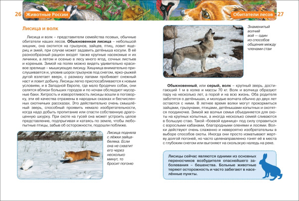 Детская энциклопедия "Животные России" Росмэн 15105