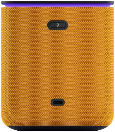 Умная колонка Яндекс Станция Миди с Zigbee 24Вт YNDX-00054ORG Оранжевая