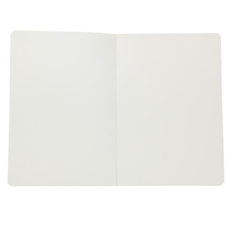 Записная книжка AXENT А5 "The Runes" салатовый 64стр., в точку 8452-09-A