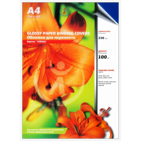 Обложка для переплета картон глянец А4, 250г/м2, синие (100шт) (4516) Обложка для переплета картон глянец А4, 250г/м2, синие (100шт) (4516)