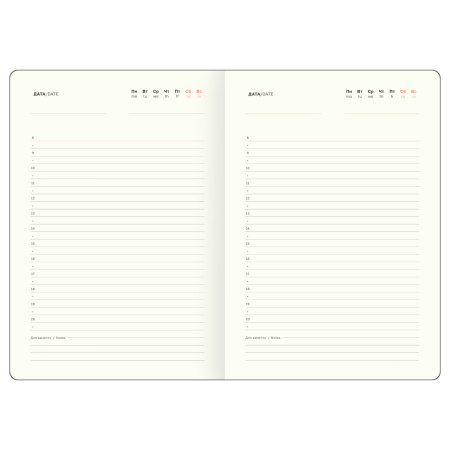 Ежедневник BG А5 136л. недатир. "Reptile. Steel" DuA5_60784