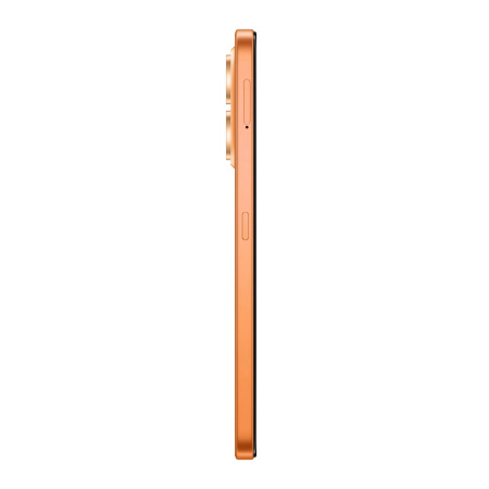 Смартфон Honor X7e 6Гб 256Гб Оранжевый 6.61", TFT LCD, 1604*720, 2*2+6*1.7Ггц, 50+0.08МП, 5Мп, NFC, 4G, 7000мАч, And