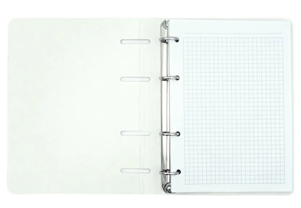 Тетрадь на кольцах 100л. "Яркий блеск" Эксмо ТК1005212