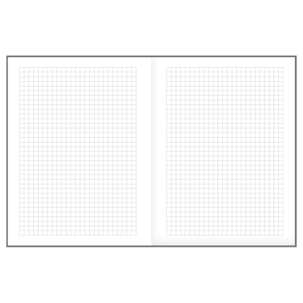 Бизнес-блокнот BG А5 64л. "Россия" Лайт ББ5и64_лг 57154