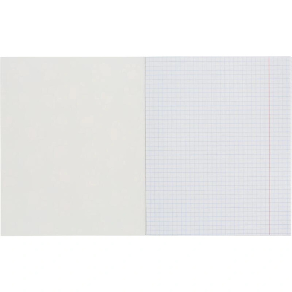 Тетрадь 48л. кл. "Panda лапки" №1School 1819909