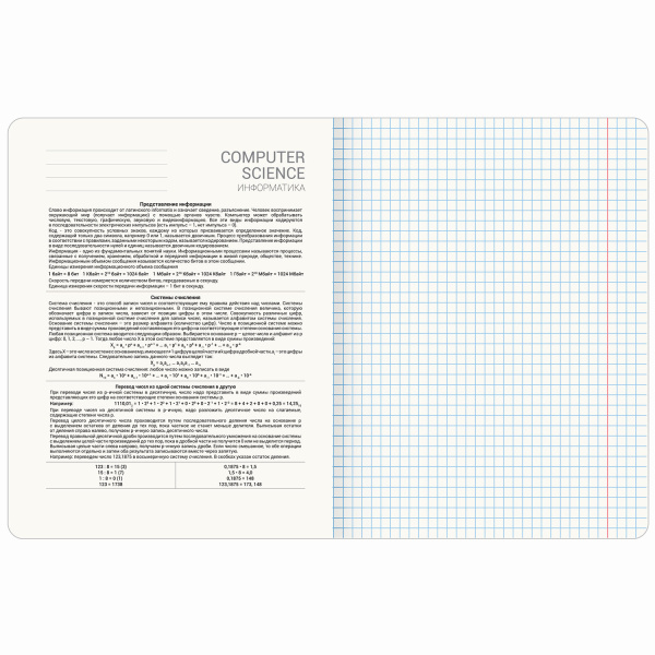 Тетрадь предметная 48л. Anime Girls "Информатика" BRAUBERG 