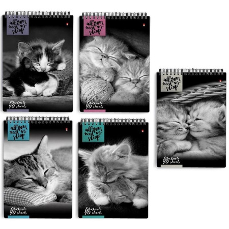 Блокнот АЛЬТ A5 40л. "Кошки" (3-40-462 Д)