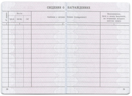 Бланк документа "Вкладыш в трудовую книжку" (120187) Бланк документа "Вкладыш в трудовую книжку" (120187)