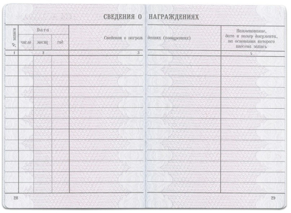 Бланк документа "Вкладыш в трудовую книжку" (120187)