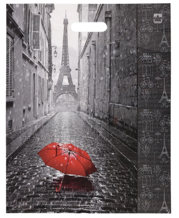 Пакет с вырубной ручкой ПВД, 45х38см, "Мой Париж"