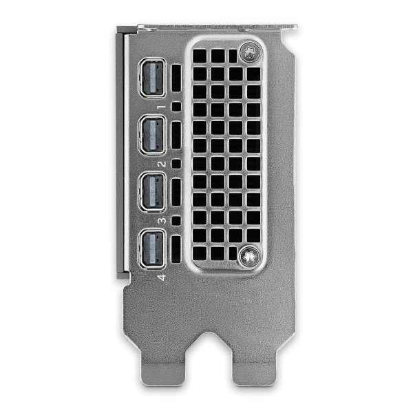 Видеокарта/ VGA NVIDIA RTX PRO 2000 Blackwell, 16 GB GDDR7 with ECC, mini DisplayPort 2.1, PCI Express 5.0 x8, Bulk
