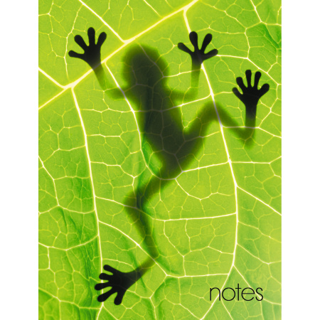 Записная книжка А6 80л. "Frog" Канц-Эксмо КЗ6803742
