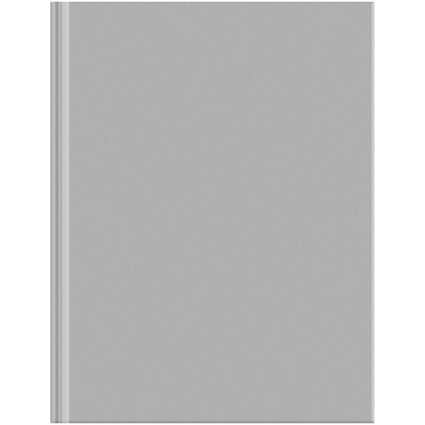 Бизнес-блокнот BG А5 80л. "Для конференций" серый ББ5т80_лг 36156