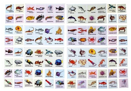 Лото "Подводный мир" Задира Плюс (41179зп)