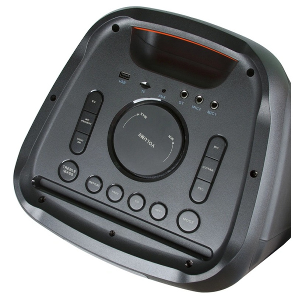 Портативная колонка ELTRONIC 20-18 FIRE BOX 1000 динамик 10" 2шт. 100Вт, Bluetooth, TWS, FM, USB,  m