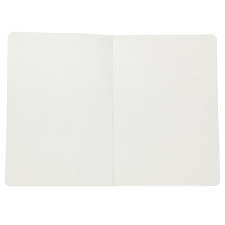 Записная книжка AXENT А5 "The Runes" салатовый 64стр., в точку 8452-09-A