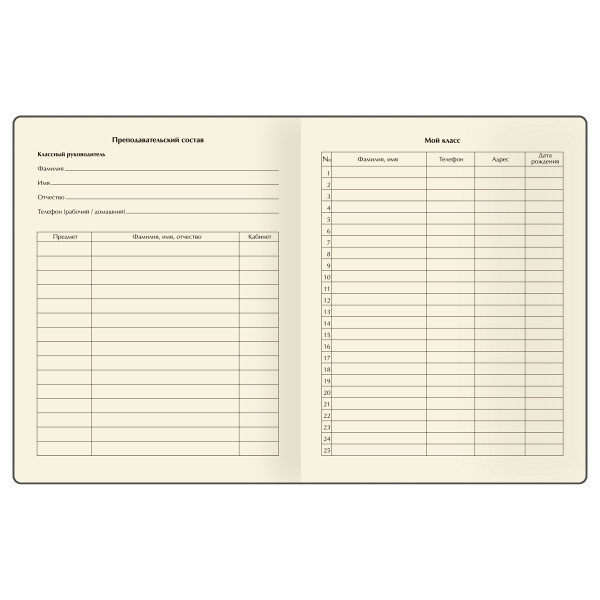 Дневник 1-11кл. BG "Таинственная девочка" D5h48_58571