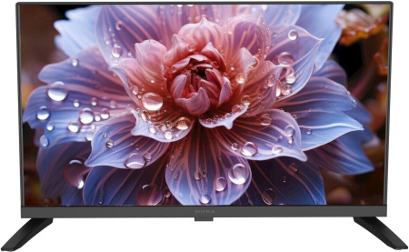 Телевизор LED Supra 24" STV-LC24LT0080W Frameless черный HD 60Hz DVB-T2 DVB-C USB (RUS)