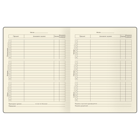 Дневник 1-11кл. BG "Таинственная девочка" D5h48_58571