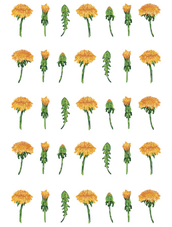 Набор для вышивания "PANNA" "Живая картина" JK-2280 "Паттерн. Одуванчики" 24 х 30 см