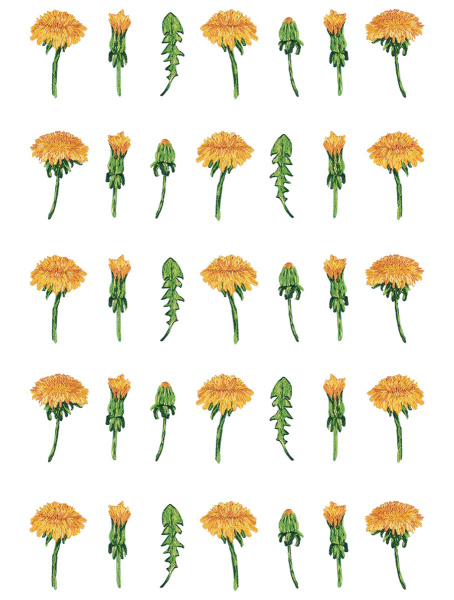 Набор для вышивания "PANNA" "Живая картина" JK-2280 "Паттерн. Одуванчики" 24 х 30 см