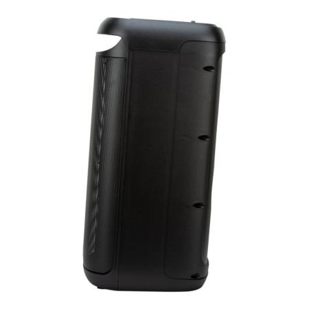 Портативная колонка ELTRONIC 30-44 DANCE BOX 800 динамик 6.5" 2шт. 80Вт, Bluetooth, TWS, FM, USB,  mic