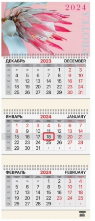 Календарь кварт. 2024г. BRAUBERG "Protea" 3бл., 3гр. (115290)