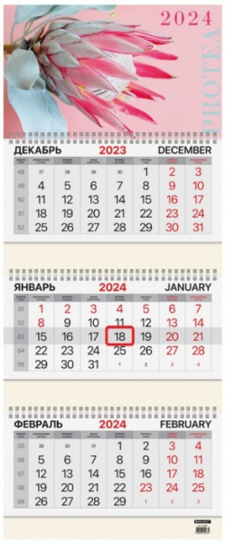 Календарь кварт. 2024г. BRAUBERG "Protea" 3бл., 3гр. (115290)