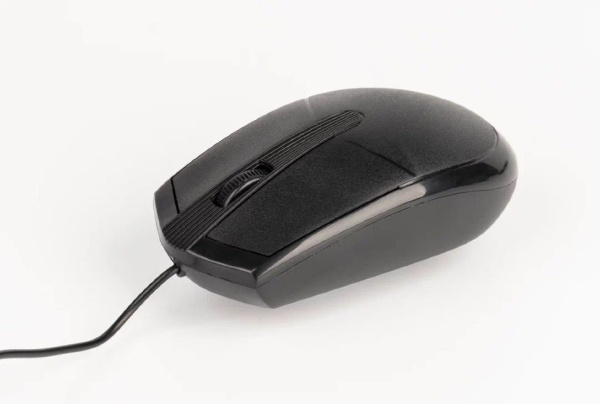 Мышь USB Perfeo NO NAME-4 (PF-B4903) оптическая, 3кн. 1000dpi Black