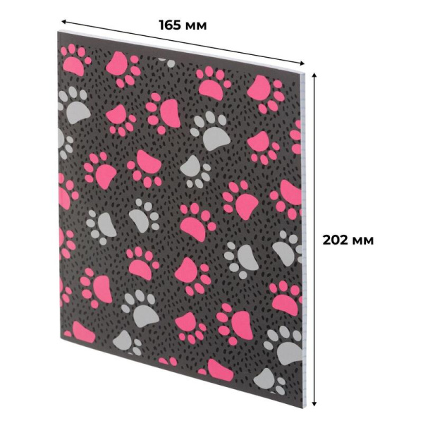 Тетрадь 48л. кл. "Panda лапки" №1School 1819909