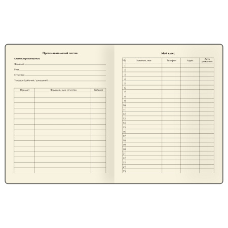 Дневник 1-11кл. "Всегда на позитиве" BG (D5s48_58624)