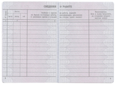 Бланк документа "Вкладыш в трудовую книжку" (120187) Бланк документа "Вкладыш в трудовую книжку" (120187)