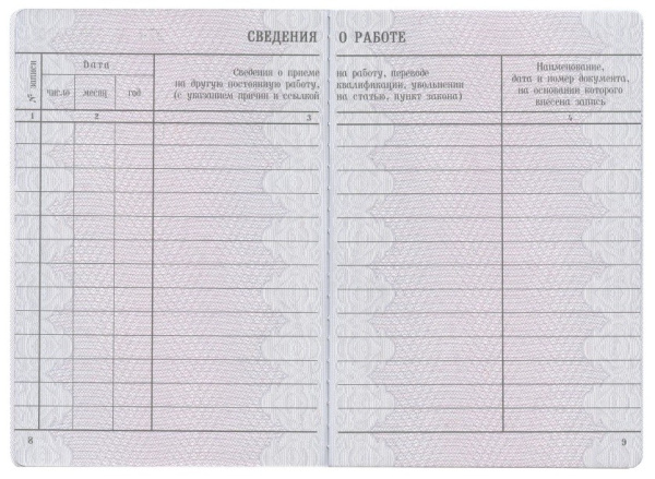 Бланк документа "Вкладыш в трудовую книжку" (120187)