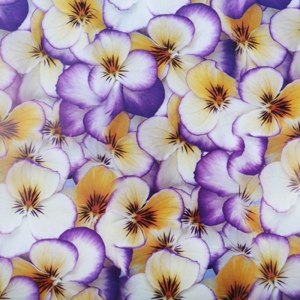 Бумага упаковочная подарочная "Анютины глазки" 70*100см