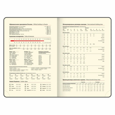 Ежедневник BRAUBERG A5 2026г. "Imperial" черный (117063)