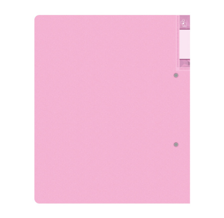 Папка 2 кольца Бюрократ "Gems", 32мм, 700мкм, GEM0812/2RPIN