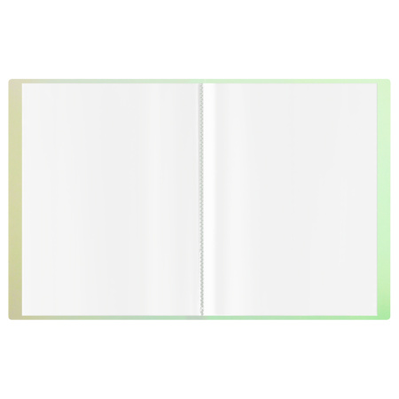 Папка с 60 вкл. СТАММ "Сияние" 21мм, 700мкм, белый (ММ-32001)