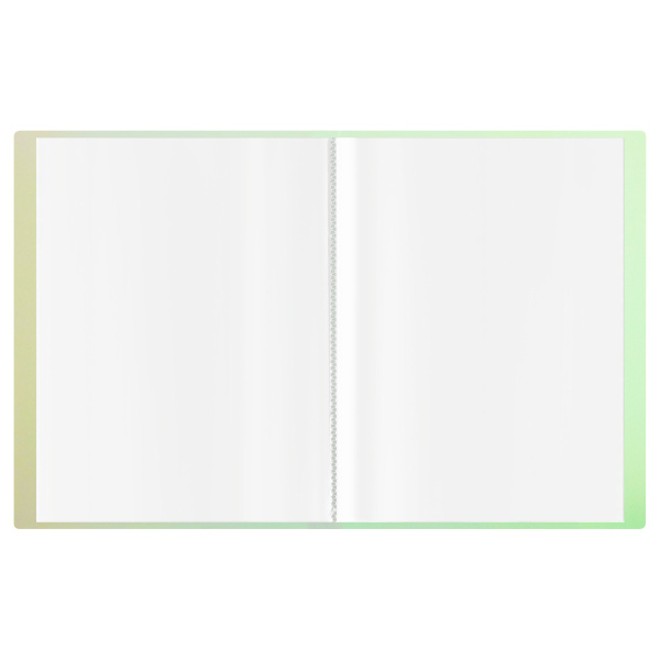 Папка с 60 вкл. СТАММ "Сияние" 21мм, 700мкм, белый (ММ-32001)