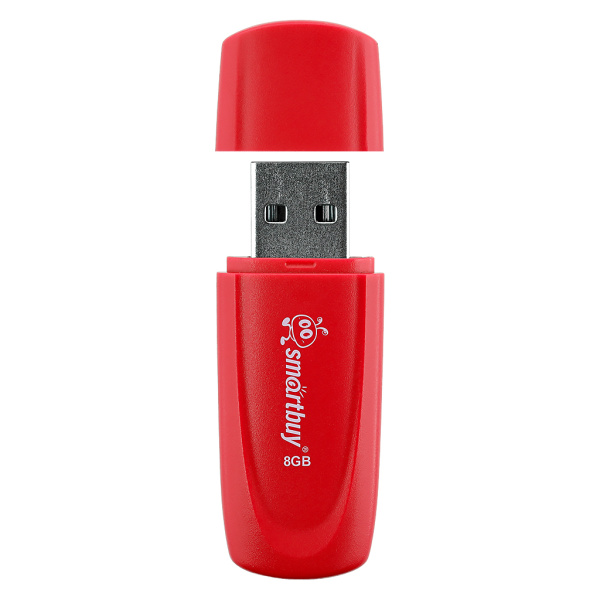 Флеш-накопитель USB2.0 8GB SmartBuy Scout (SB008GB2SCR) красный