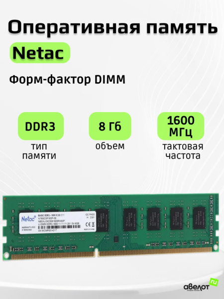 Модуль памяти DIMM DDR3 8Гб 1600МГц Netac (NTBSD3P16SP-08) CL11